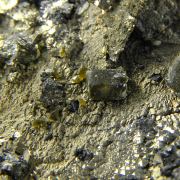 Pyrite (replacing Siderite) with Siderite and Stannite