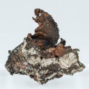 Silver with Copper (variety halfbreed)