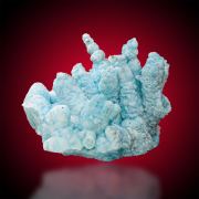 Aragonite  Var. Flos Ferri