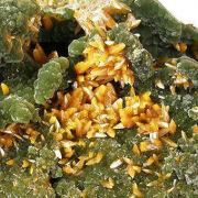 Mimetite With Wulfenite