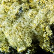 Pickeringite, Sideronatrite