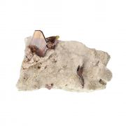 Brookite with Quartz