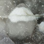 Quartz (two generations)