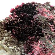 Erythrite + Phlogopite.
