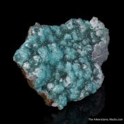 Adamite (Cuprian and REE-enriched)