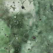 Quartz with Anatase and Chlorite inclusions