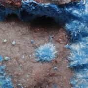 Carbonatecyanotrichite with Azurite and Calcite