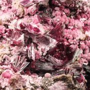 ERYTHRITE two habits