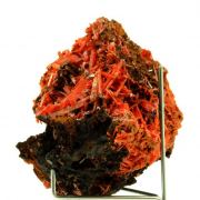 Crocoite. 839.5 ct.