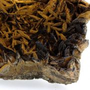 Pyrolusite and Goethite on Siderite.