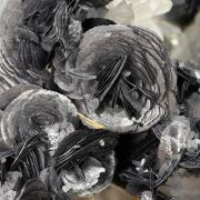 Hematite (variety iron rose) with Quartz