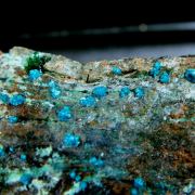 Sampleite with Atacamite and Chrysocolla