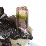 Tourmaline / (Fluor-Liddicoatite)