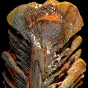 Goethite perimorphose after gypsum LAVRION