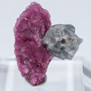 Elbaite-Schorl Series (variety 'mushroom') with Quartz