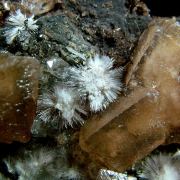 Olmiite with Bultfonteinite