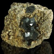 Andradite var. Garnet