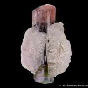 Tourmaline (blue cap) with Cleavelandite