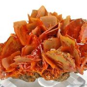 Wulfenite