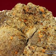 Atencioite (type locality) with Ushkovite on Beryllonite