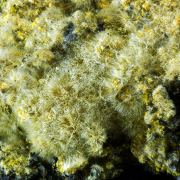 Pickeringite, Sideronatrite