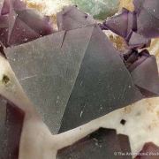 Fluorite on Quartz