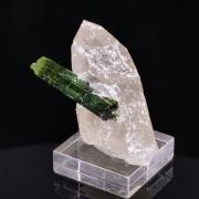 TOURMALINE on QUARTZ - Pederneira mine, Brazil