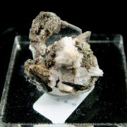 Catapleiite with Aegirine and Natrolite