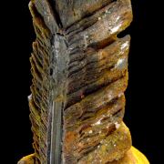 Goethite perimorphose after gypsum LAVRION