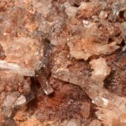 Caracolite