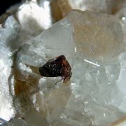 Fluornatromicrolite, Topaz, Albite, Muscovite