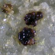 Pharmacosiderite, Carminite, Malachite