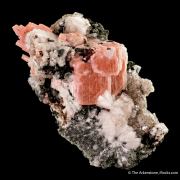 Leifite and Serandite