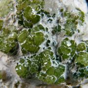 Andradite var. Demantoid
