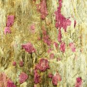 Erythrite