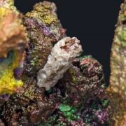 Cerussite after Anglesite with Goethite