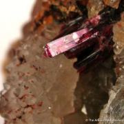 Erythrite on Quartz