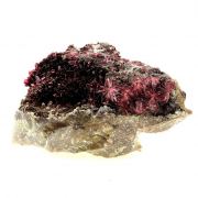Erythrite + Phlogopite.