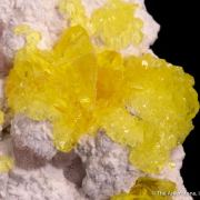 Jouravskite with Xonotlite on Oyelite