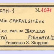 Canavesite with Pyrite