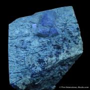 Fluorapatite with Aegirine and Kentbrooksite on Feldspar