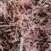 Inesite with Hubeite