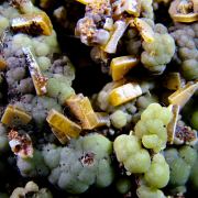 Wulfenite on Mimetite