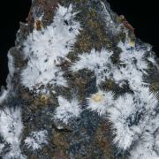 Canavesite with Pyrite