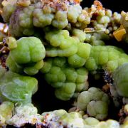 Wulfenite on Mimetite