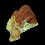 Smithsonite pseudomorph after Calcite