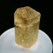 Scapolite