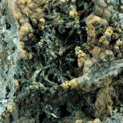 Woodruffite