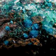 Sampleite with Atacamite and Chrysocolla