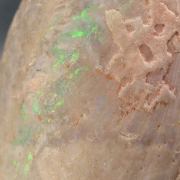 Opal Replacing Bivalve fossil / 22.90 grams / Coober Pedy, Australia